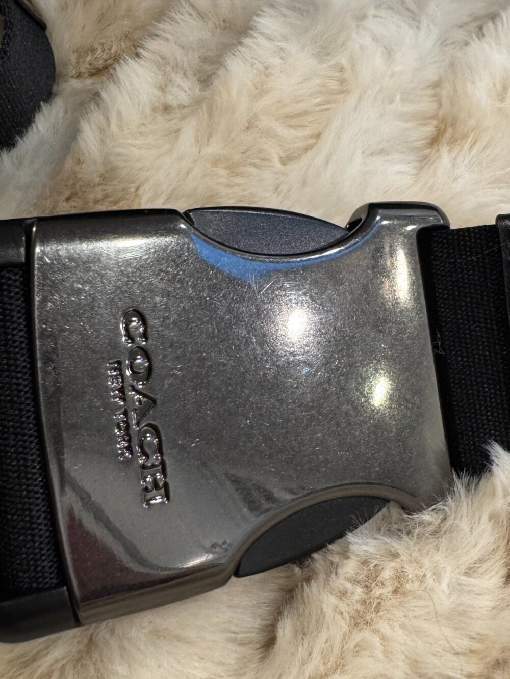 Disney X Coach Terrain Belt Bag In Signature Canvas With Dumbo NWOT Unisex - Picture 11 of 11